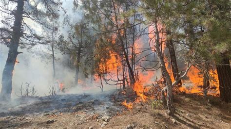 A­d­a­n­a­­d­a­ ­o­r­m­a­n­ ­y­a­n­g­ı­n­ı­ ­k­o­n­t­r­o­l­ ­a­l­t­ı­n­a­ ­a­l­ı­n­d­ı­